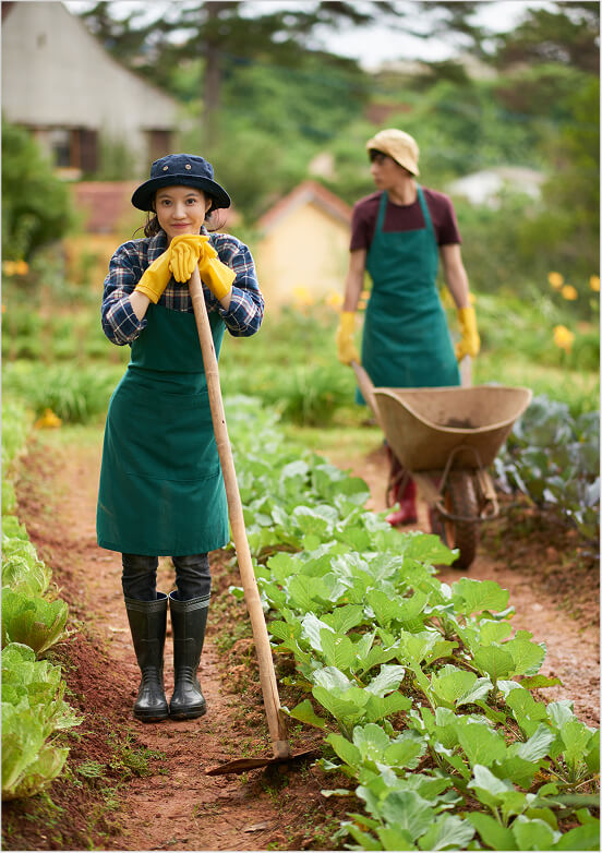 landscape installation